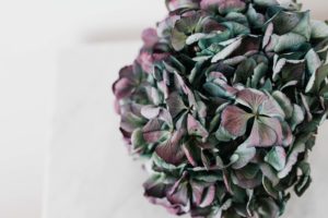 風水でも強いパワーを持つパープル(紫色)をインテリアに上手に取り入れるコツとは？